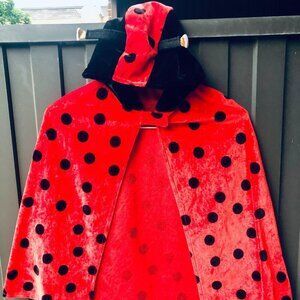 Ladybug Halloween Costume Cape Dres-up Cosplay with Hood & Antennae – Toddler 2T